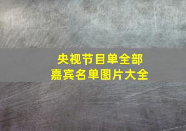 央视节目单全部嘉宾名单图片大全