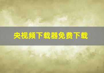 央视频下载器免费下载