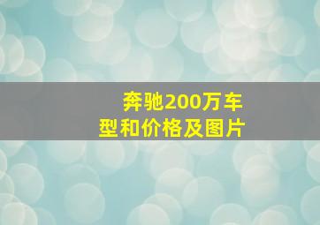 奔驰200万车型和价格及图片