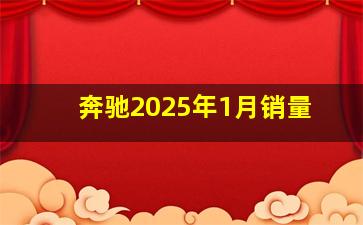 奔驰2025年1月销量