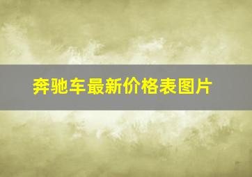 奔驰车最新价格表图片