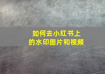 如何去小红书上的水印图片和视频