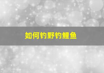 如何钓野钓鲤鱼