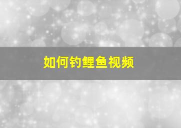 如何钓鲤鱼视频