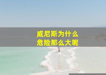 威尼斯为什么危险那么大呢