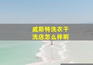 威斯特洗衣干洗店怎么样啊