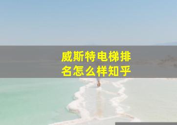 威斯特电梯排名怎么样知乎