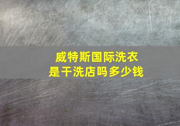 威特斯国际洗衣是干洗店吗多少钱