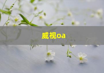 威视oa