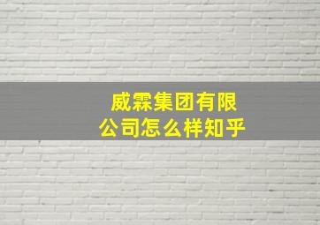 威霖集团有限公司怎么样知乎