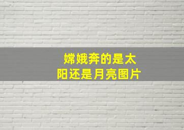 嫦娥奔的是太阳还是月亮图片