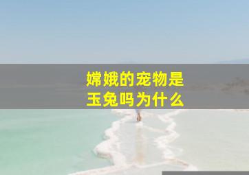 嫦娥的宠物是玉兔吗为什么