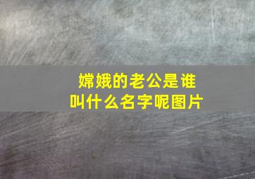 嫦娥的老公是谁叫什么名字呢图片