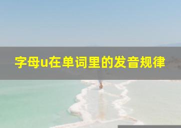 字母u在单词里的发音规律