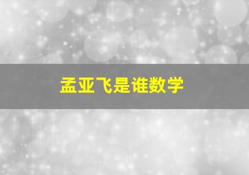 孟亚飞是谁数学