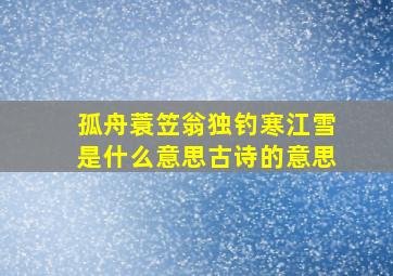 孤舟蓑笠翁独钓寒江雪是什么意思古诗的意思