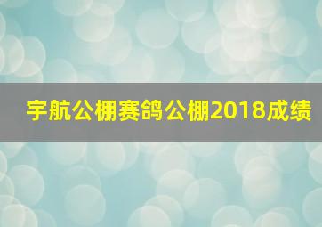 宇航公棚赛鸽公棚2018成绩