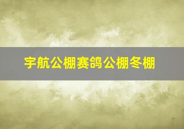 宇航公棚赛鸽公棚冬棚