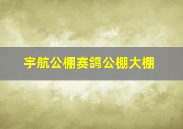 宇航公棚赛鸽公棚大棚