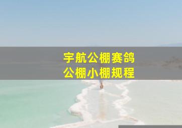 宇航公棚赛鸽公棚小棚规程