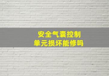 安全气囊控制单元损坏能修吗