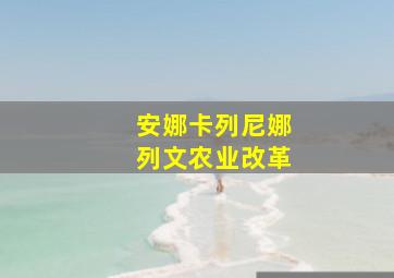 安娜卡列尼娜列文农业改革