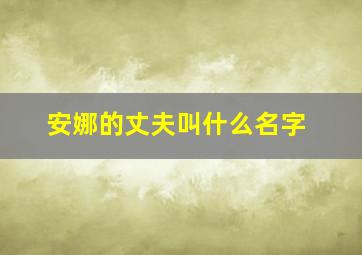 安娜的丈夫叫什么名字