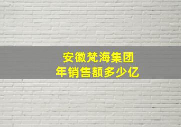 安徽梵海集团年销售额多少亿