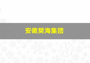 安徽樊海集团