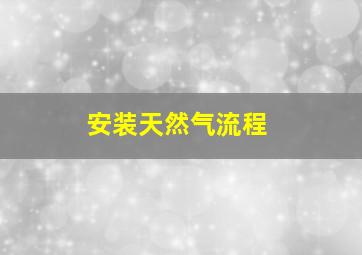 安装天然气流程