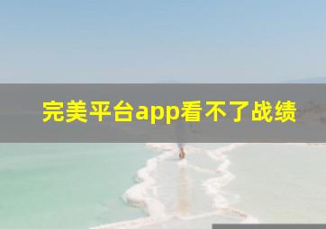 完美平台app看不了战绩