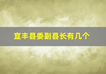 宜丰县委副县长有几个