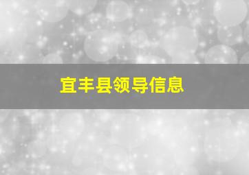 宜丰县领导信息