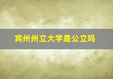 宾州州立大学是公立吗