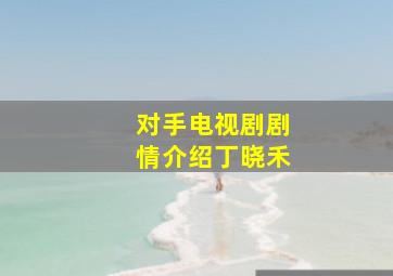 对手电视剧剧情介绍丁晓禾