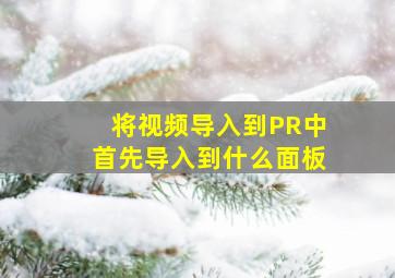 将视频导入到PR中首先导入到什么面板