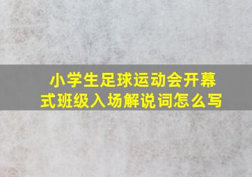 小学生足球运动会开幕式班级入场解说词怎么写