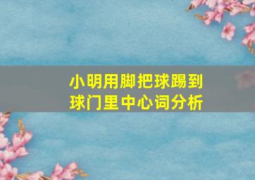 小明用脚把球踢到球门里中心词分析