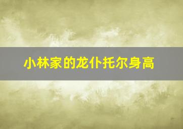 小林家的龙仆托尔身高