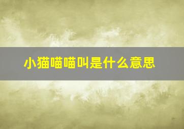 小猫喵喵叫是什么意思