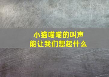 小猫喵喵的叫声能让我们想起什么