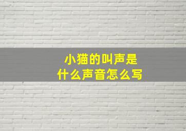 小猫的叫声是什么声音怎么写