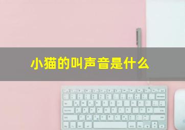 小猫的叫声音是什么