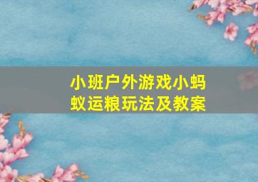 小班户外游戏小蚂蚁运粮玩法及教案