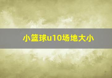 小篮球u10场地大小