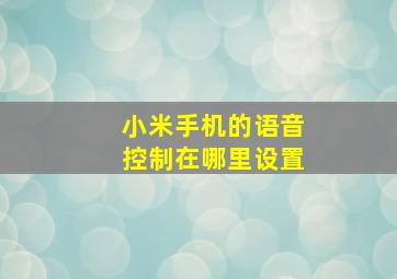 小米手机的语音控制在哪里设置