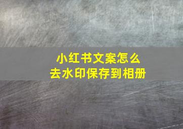 小红书文案怎么去水印保存到相册