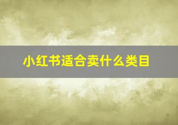 小红书适合卖什么类目