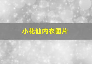 小花仙内衣图片