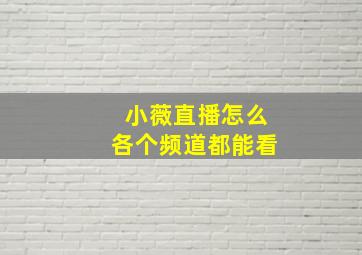 小薇直播怎么各个频道都能看